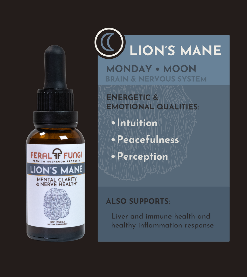 Planetary Set of Spagyric Tinctures