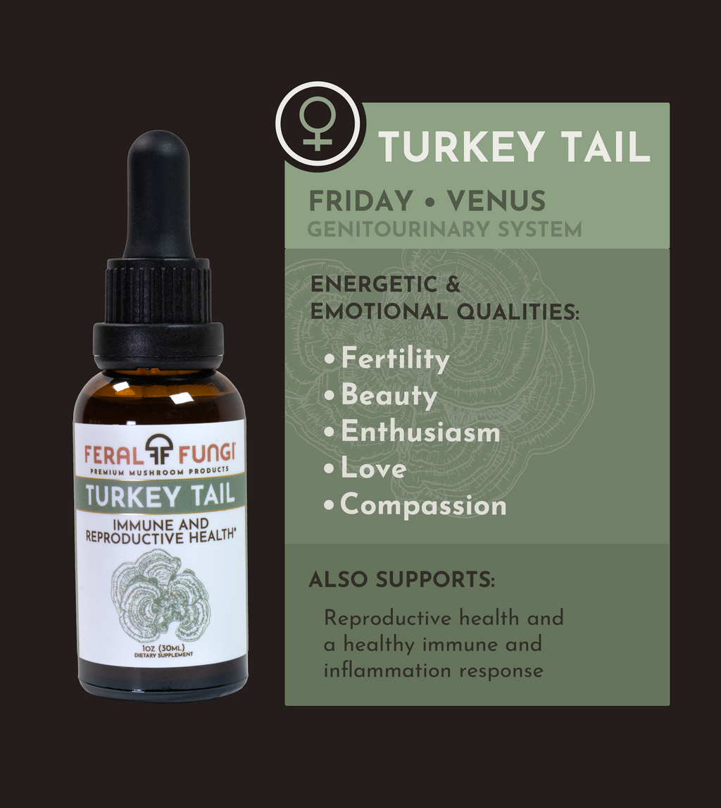 Planetary Set of Spagyric Tinctures