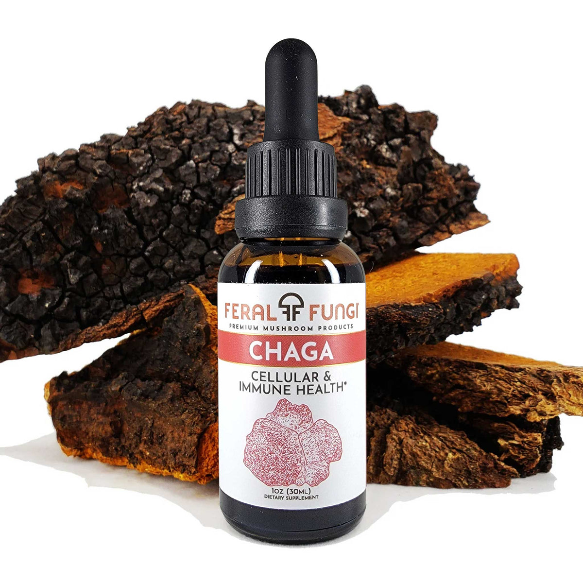 Chaga (Inonotus obliquus) Spagyric Tincture