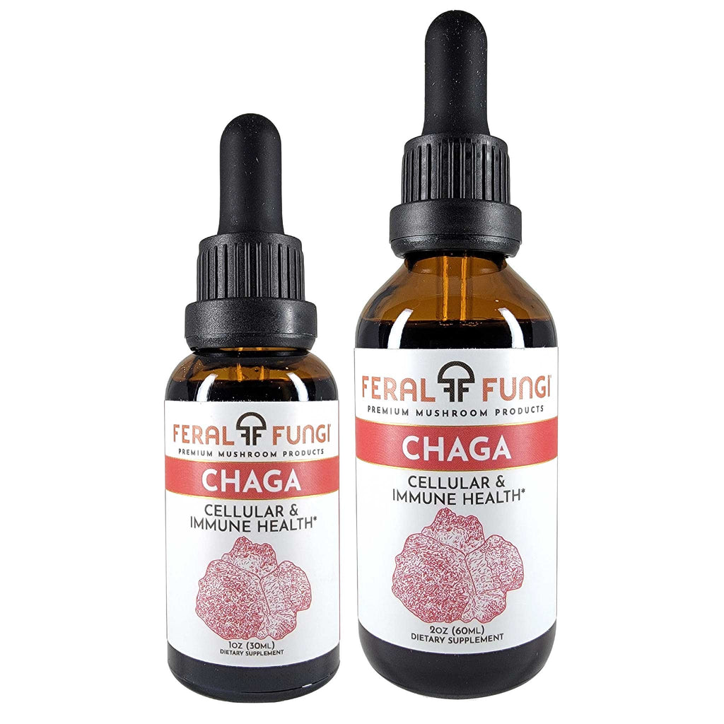 Chaga (Inonotus obliquus) Spagyric Tincture