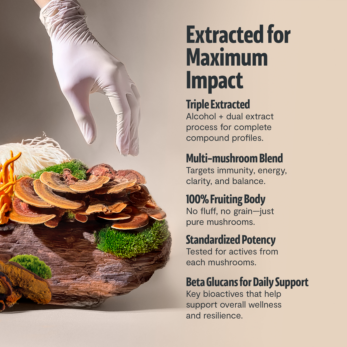 Ultimate Mushroom Complex Powder