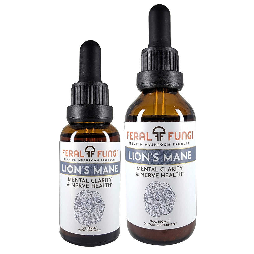Lion's Mane (Hericium erinaceus) Spagyric Tincture