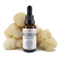 Lion's Mane (Hericium erinaceus) Spagyric Tincture