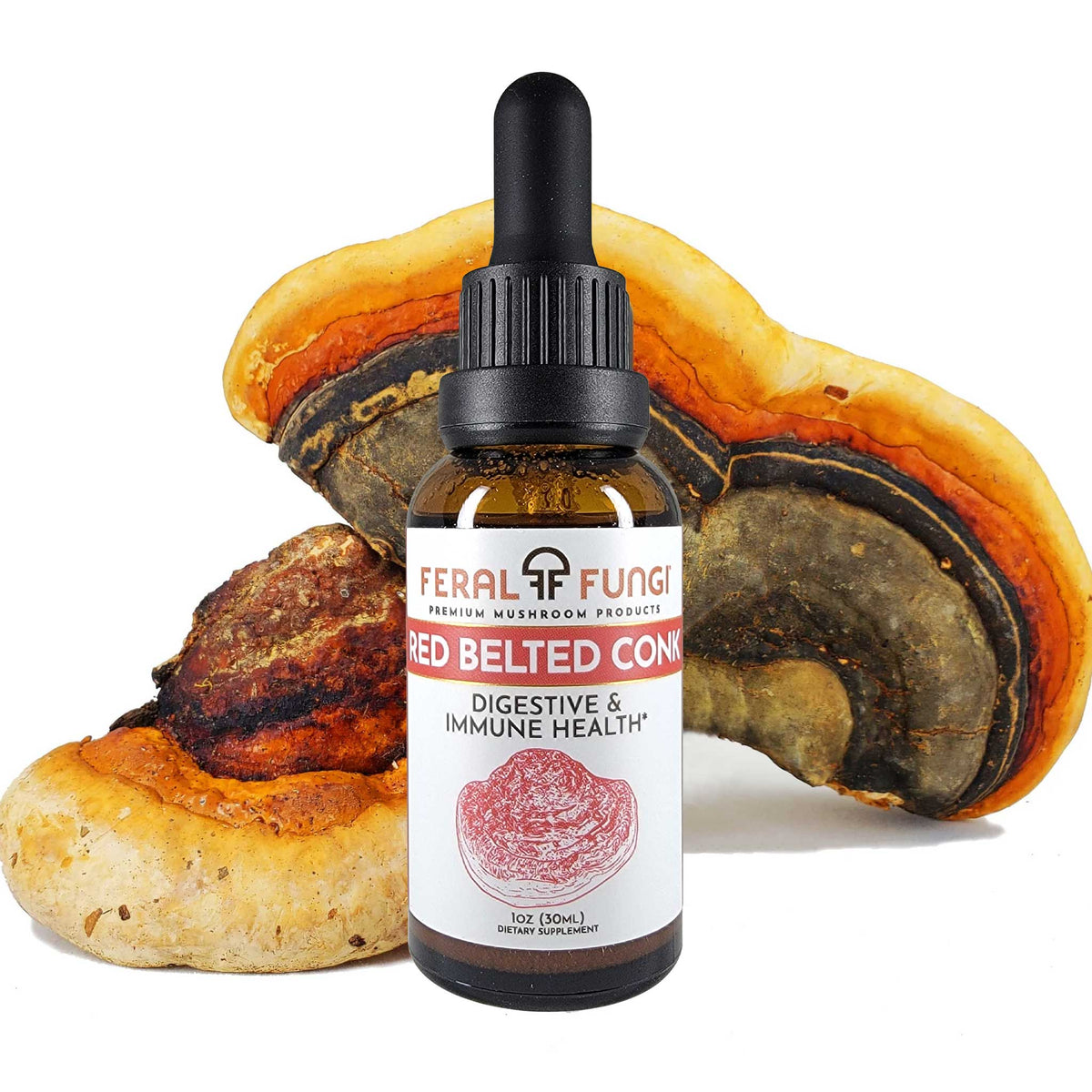 Red Belted Conk (Fomitopsis pinicola) Spagyric Tincture