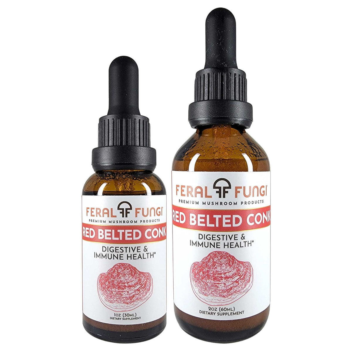 Red Belted Conk (Fomitopsis pinicola) Spagyric Tincture