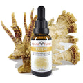 Reishi (Ganoderma lucidum) Spagyric Tincture