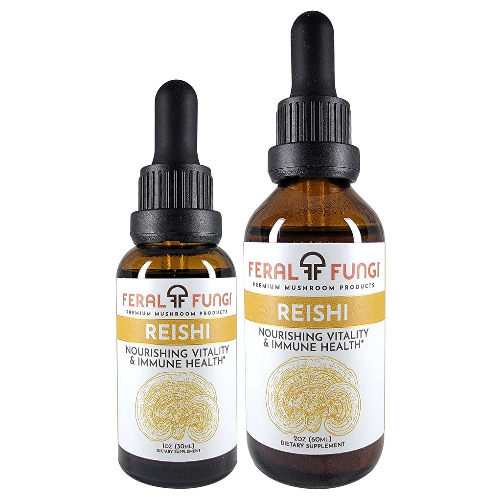 Reishi (Ganoderma lucidum) Spagyric Tincture