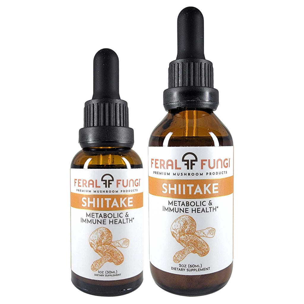 Shiitake (Lentinula edodes) Spagyric Tincture