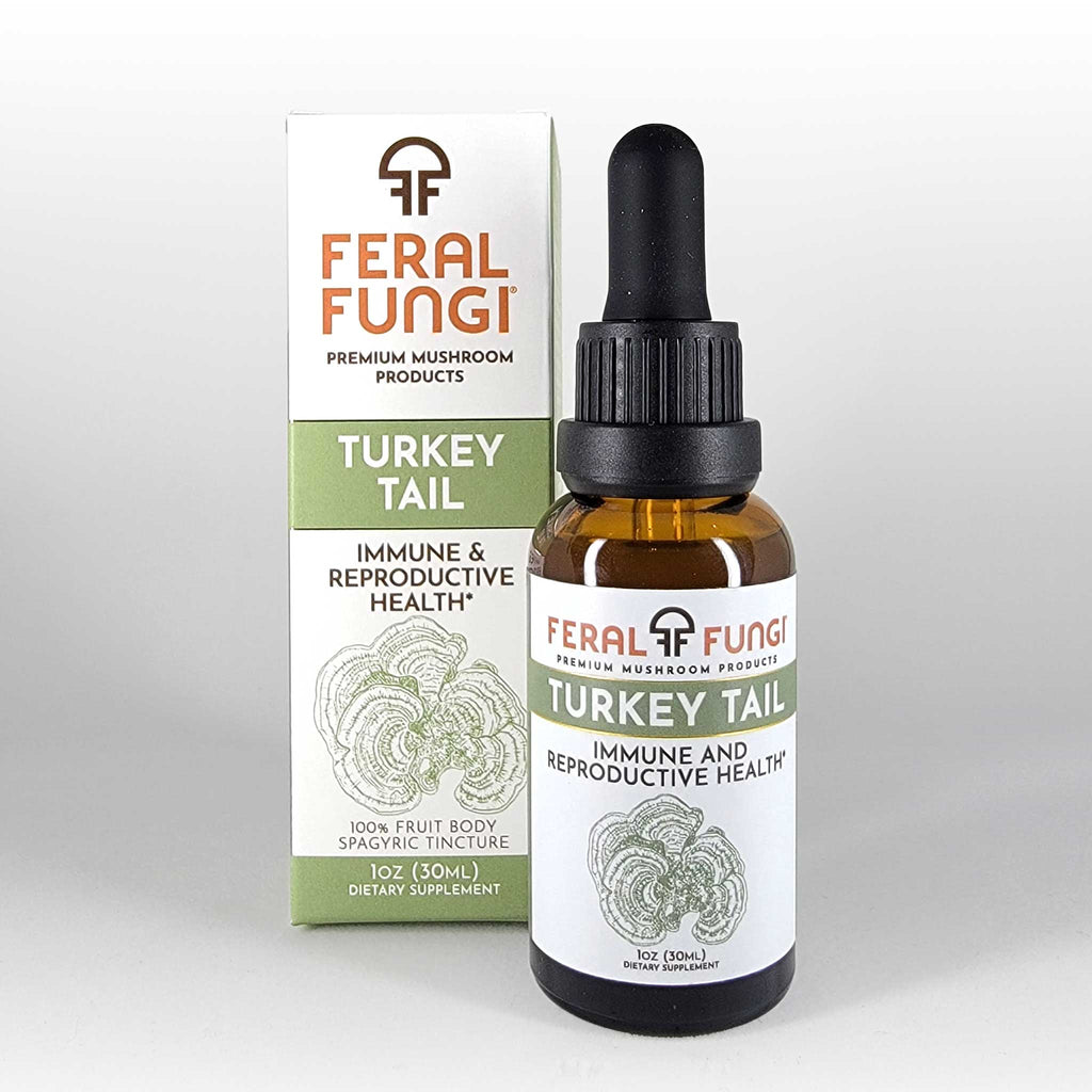 Turkey Tail (Trametes versicolor) Spagyric Tincture