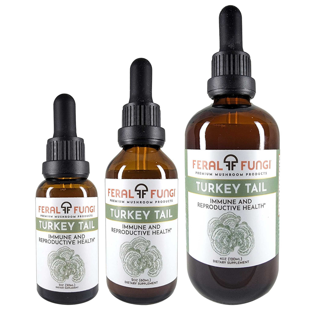 Turkey Tail (Trametes versicolor) Spagyric Tincture