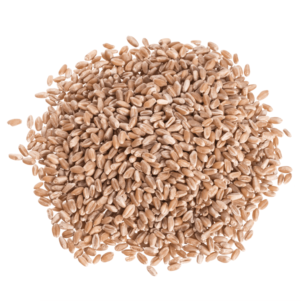 Wheat Berries, Hard Red, Organic