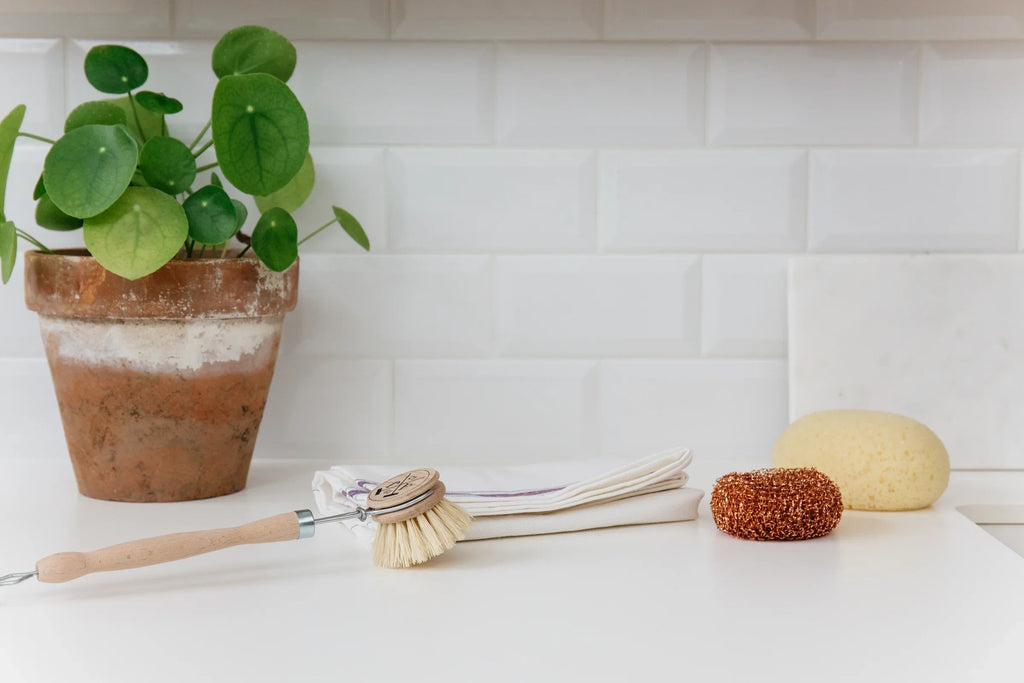 Andr Jardin Sustainable Dish Cleaning Kit in Wooden Box
