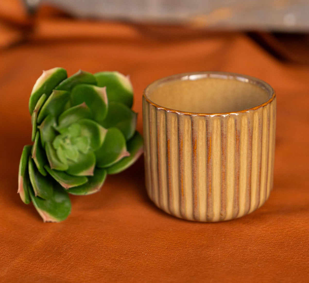 Orange Ribbed Ceramic Planter