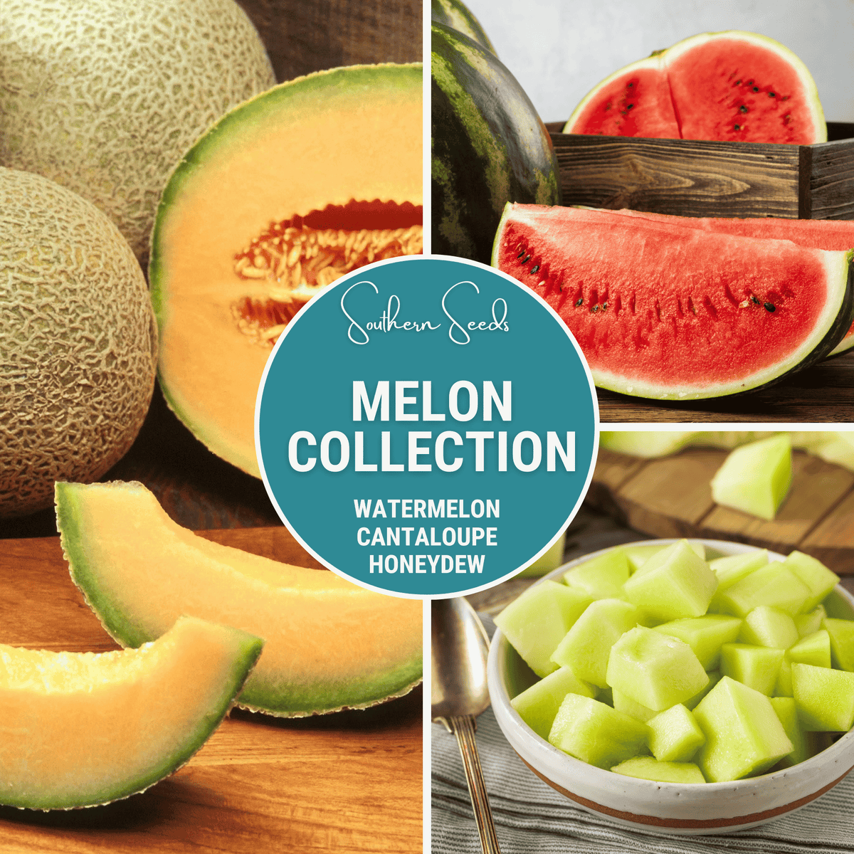 Melon Seed Collection (Watermelon • Cantaloupe • Honeydew)