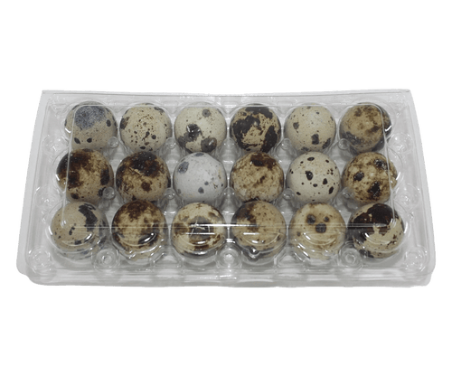 18-cell Jumbo Quail Egg Cartons (3x6)