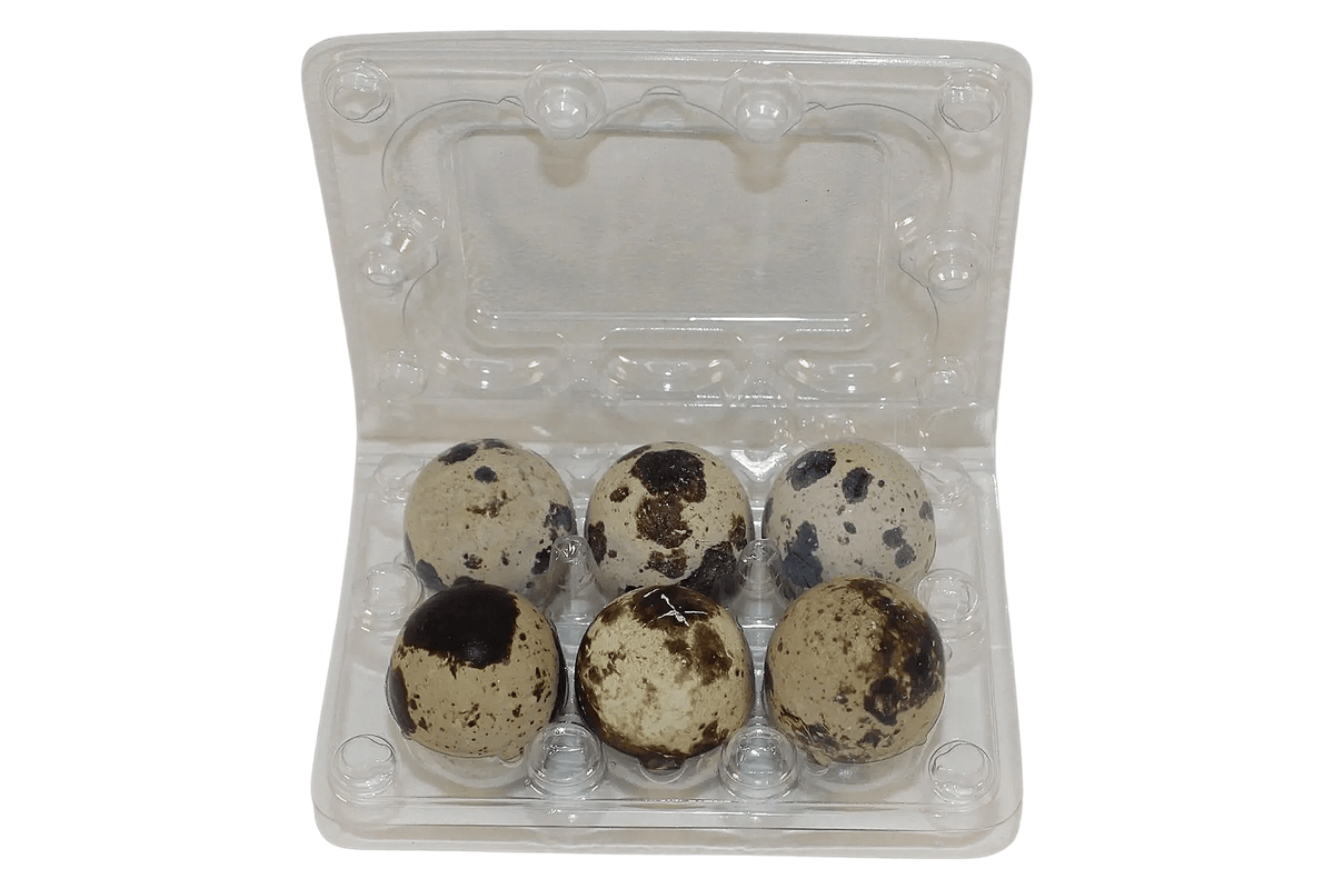 6-cell Jumbo Quail Egg Cartons (2x3)