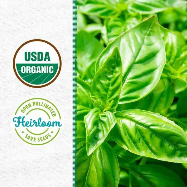 Wellness Grow Kit Basil Indoor Herb Garden Hydroponic System 0.76lb